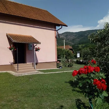 Violeta * Mokra Gora