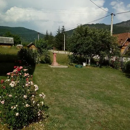 Violeta Guest house *