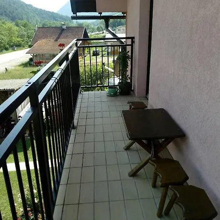Guest house Violeta Mokra Gora