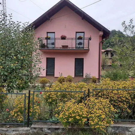 Violeta Guest house